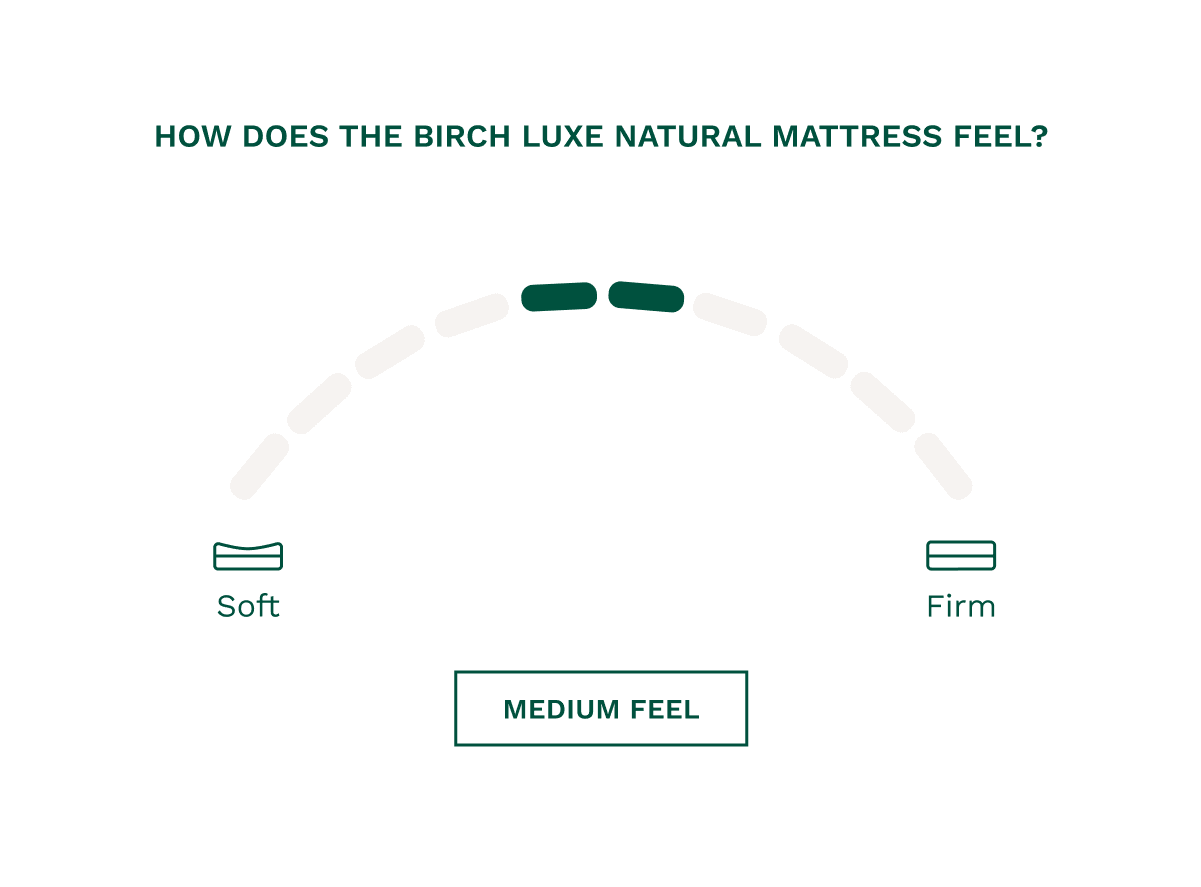Helix Birch Luxe Natural Mattress (Queen Pricing) - Image 6